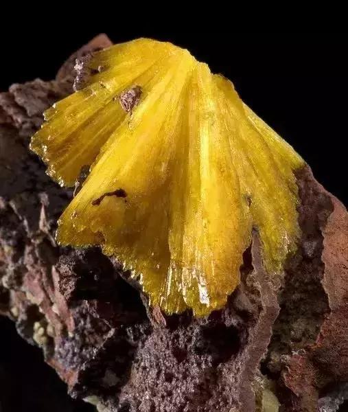 世界上令自己眸生情,见到后再也不爱别人的51个丽人