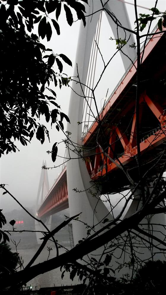 湛江坡头沿海花园,湛江海湾大桥东岸