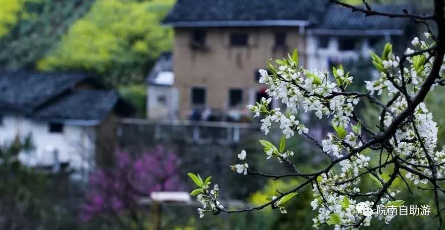 屯溪花山谜窟夜游攻略,屯溪区阳湖镇花山谜窟