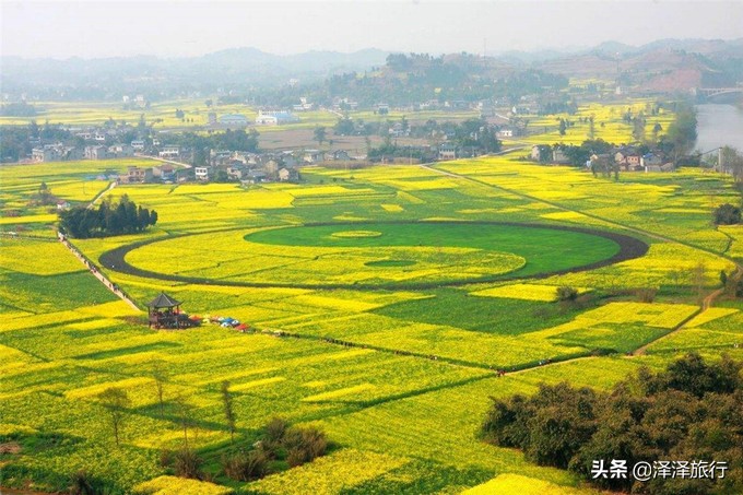 中国最美油菜花海汉中,中国最美油菜花海排名