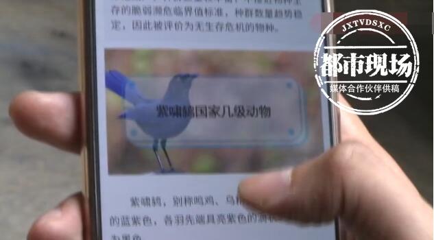 天花板上有哒哒的声音,天花板老是有噼哩叭啦的声音