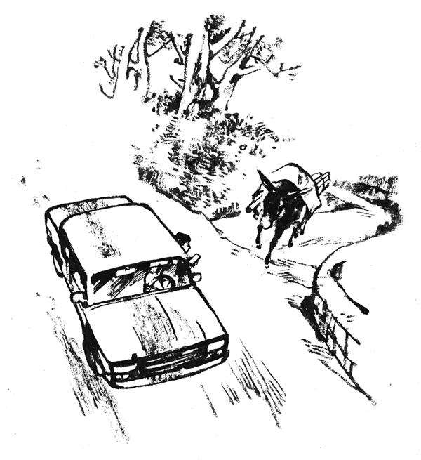 骡子和驴故事,和驴比一比的民间故事