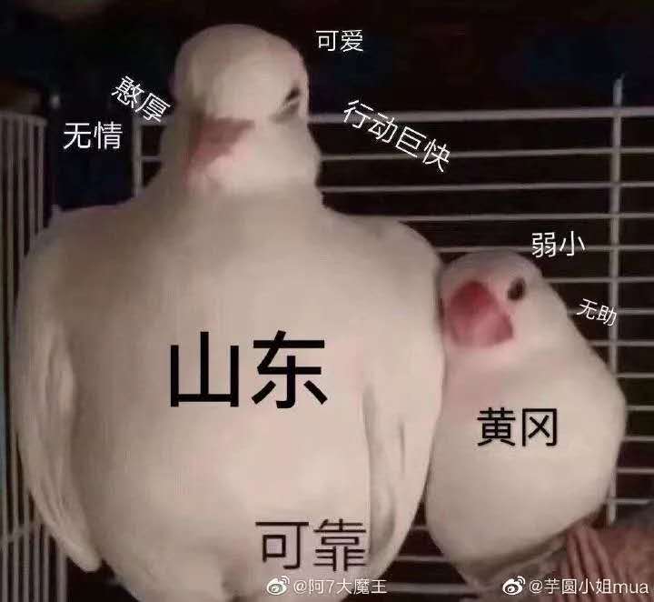 灞变笢鍏ㄥ姏鏀彺姝︽眽,姝︽眽鏈夐毦鍏柟鏀彺灞变笢