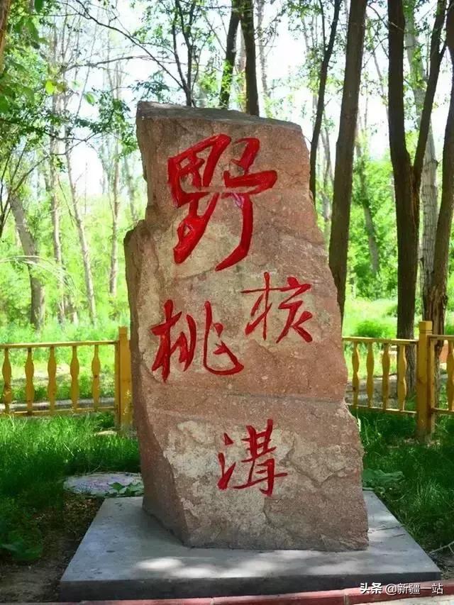 疆内哪里好玩风景好夏天,入疆必看景点大全