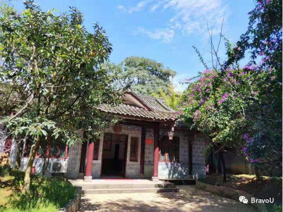 【慢游新天府，感受新成都】端午节特辑（二）|世界冠军蒋文文、蒋婷婷带你去逛川西林盘和特色小镇打卡地