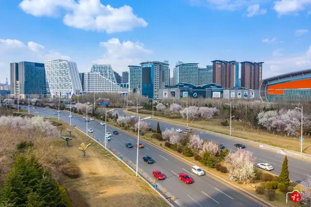 浑南长青板块楼盘推荐,浑南长青板块还是奥体板块