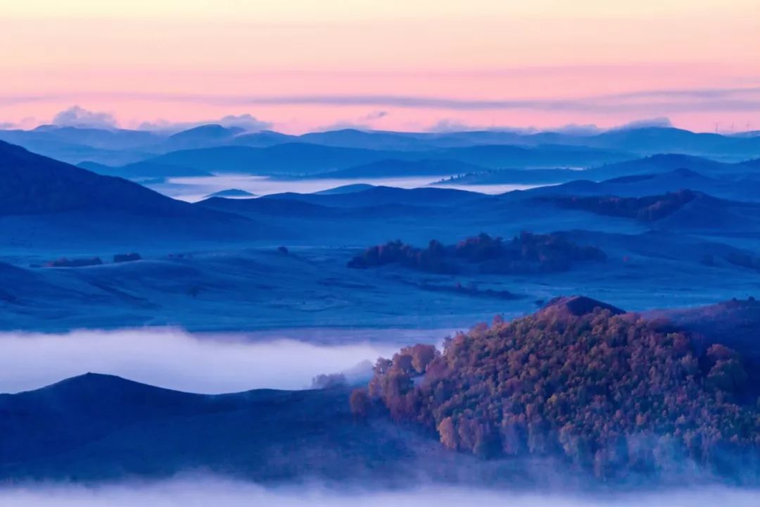 这是补气血最好的方法,不用去花冤枉钱