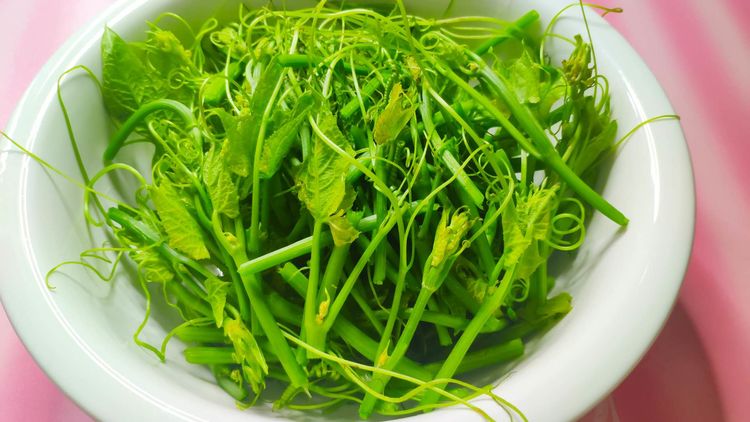 佛手瓜苗适合小孩吃的做法,佛手瓜苗清炒图片