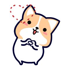 夏日彩妆化妆教程高级版,夏日妆容化妆视频教程