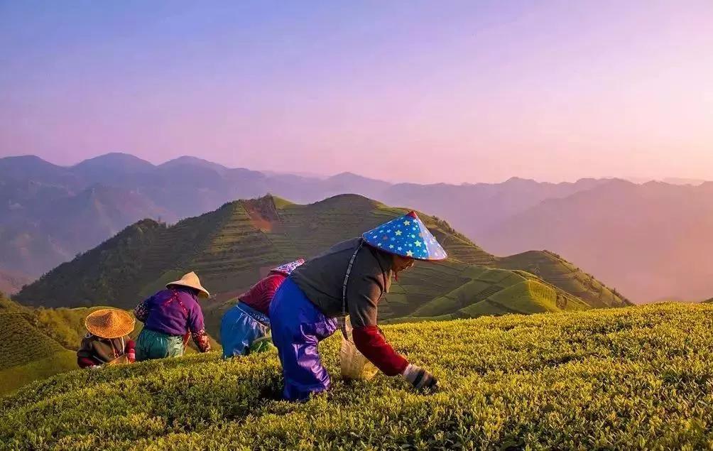 最具仪式感的跨年方式！浙江8个绝美日出地，元旦就出发