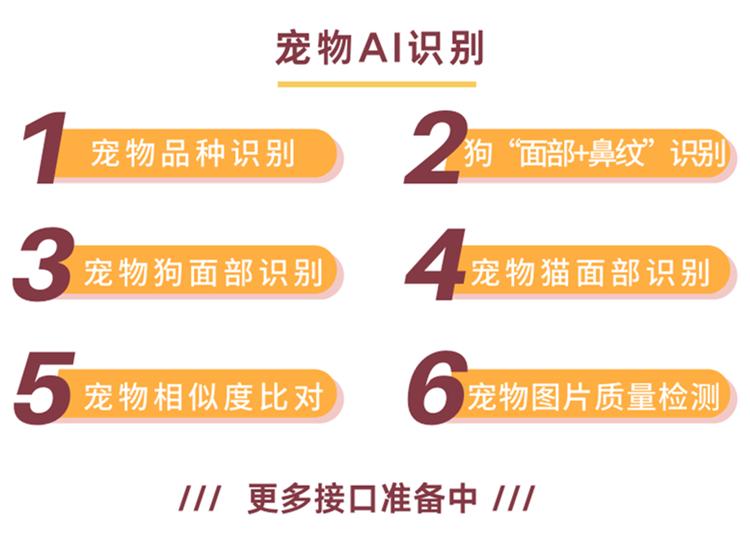 宠物ai识别有什么用途,宠物识别程序有哪些