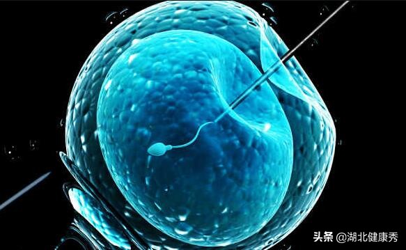 试管取完卵卵巢多久会恢复好,试管取完卵对卵巢有多大伤害