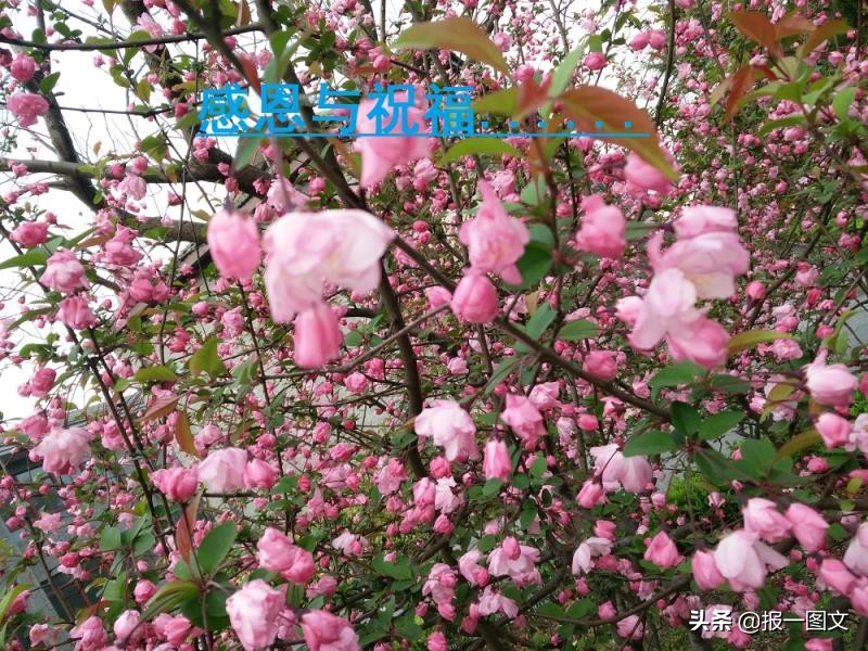 泰州市姜堰区中考分数,泰州姜堰市中考成绩查询