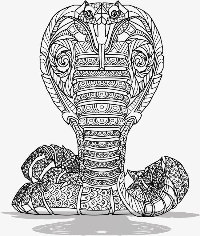 为什么抓到眼镜王蛇要放生,最大眼镜王蛇放生