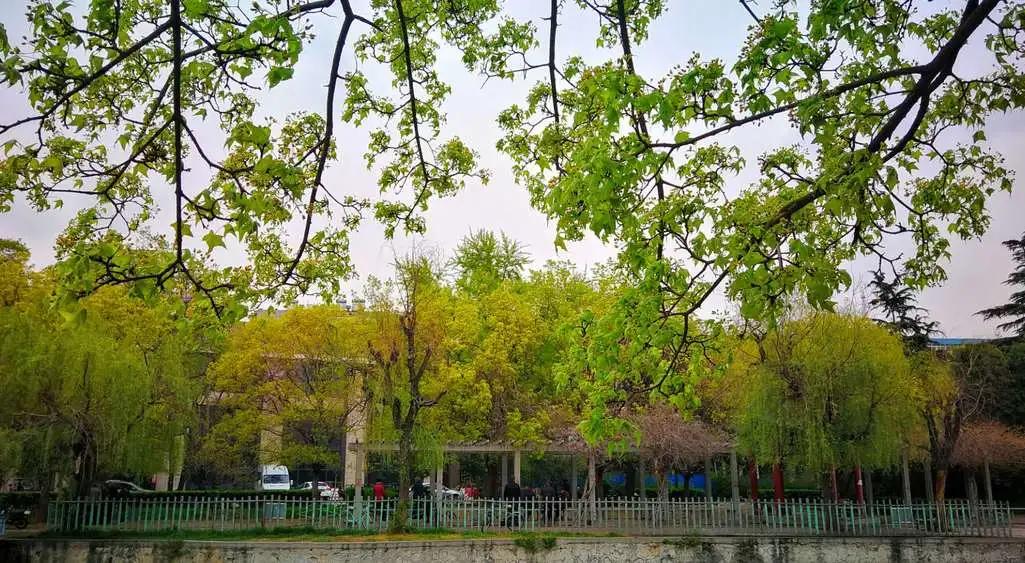 峰峰矿区哪个乡镇最好,峰峰美丽乡村都有哪些