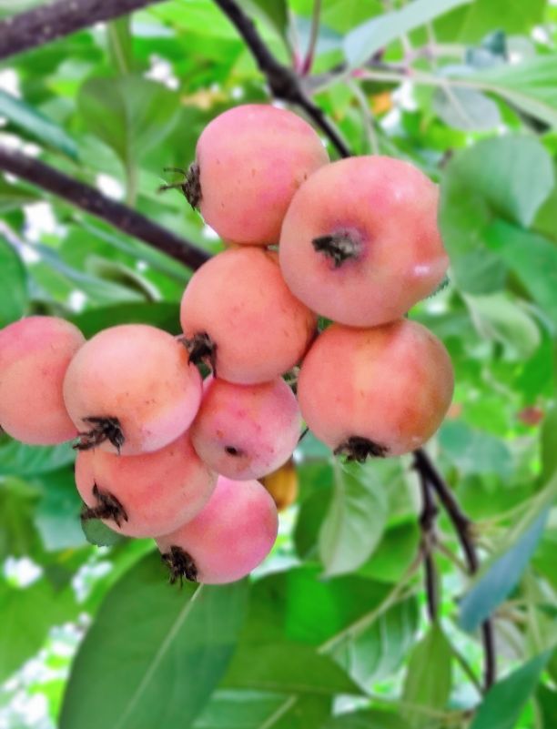 众创网校简介,众创网校官网