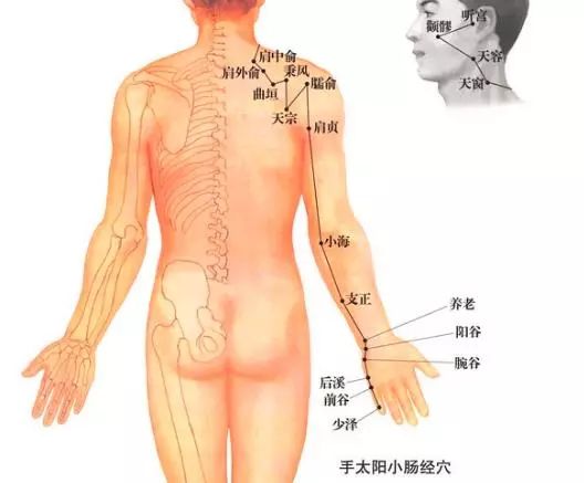 速治颈椎病的秘密原来在这里,揭秘怎么治疗颈椎病看这里