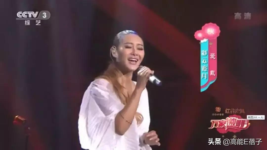 逐梦学术圈教学,逐梦学术圈的lady