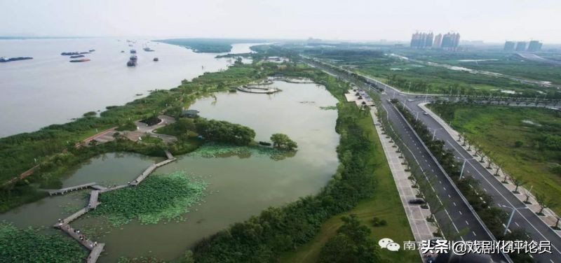 一家之言西瓜视频,一家之言