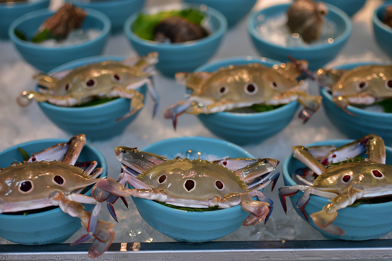 来三亚必吃的海南菜,三亚旅游在哪里吃海南菜