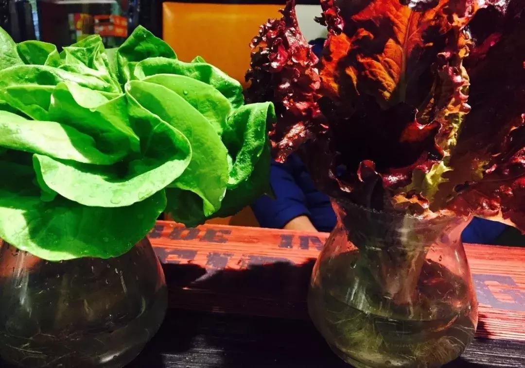 天寒地冻去旅游,天寒地冻吃什么