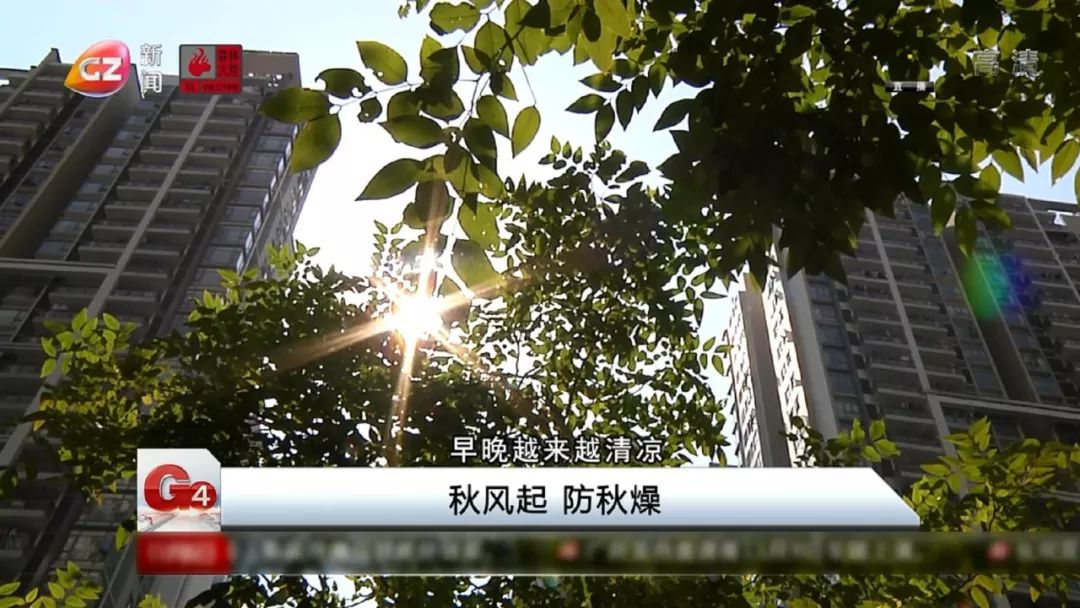 入秋干燥天气煮什么汤好,秋天干冷煲什么汤最适合