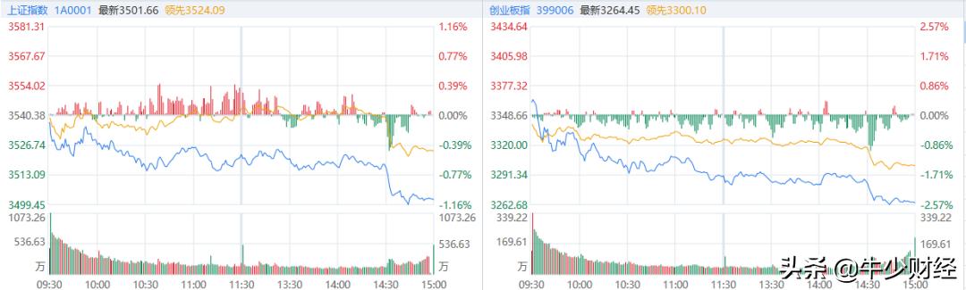 粤港澳十五届全运会宣传片,2025粤港澳全运会时间