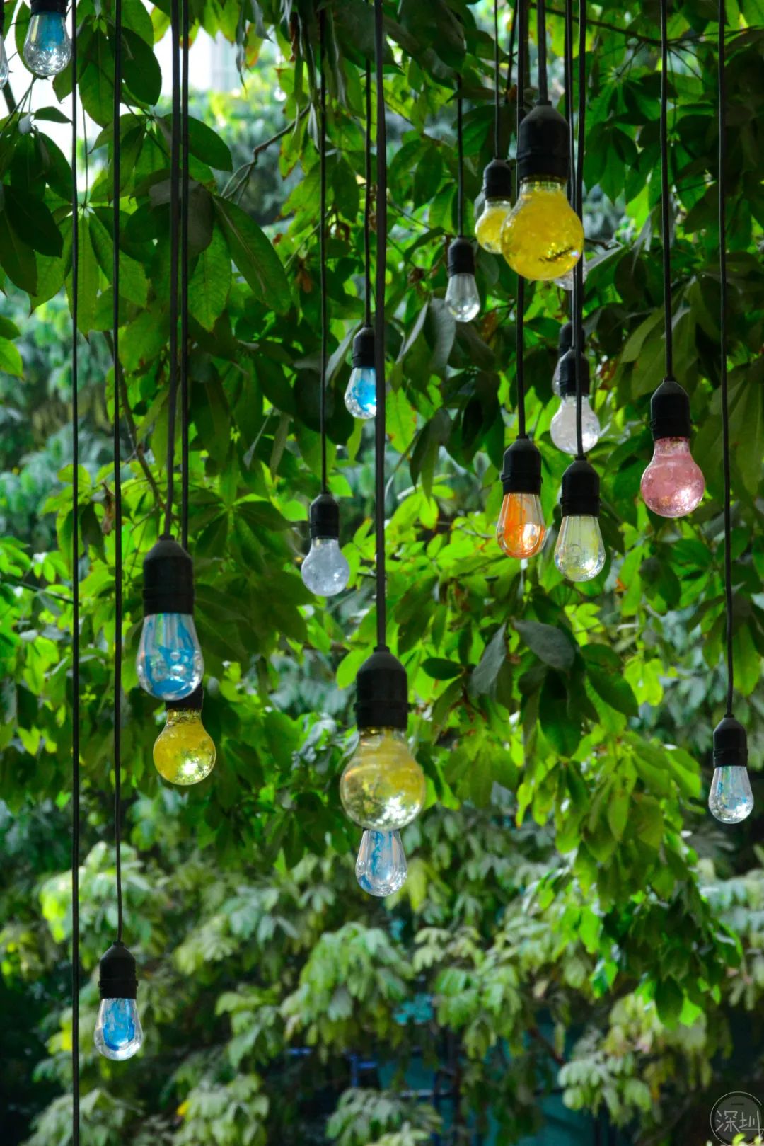 中山南头是中高风险地区吗,中山南头镇潜力大吗