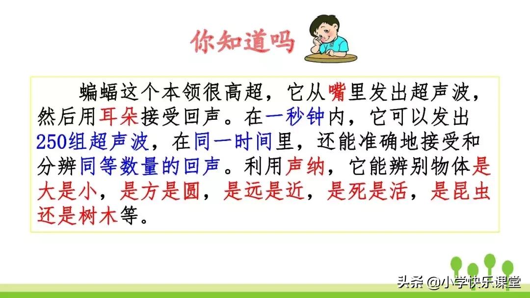 四年级上册语文蝙蝠和雷达课后题,部编版四年级上册语文蝙蝠和雷达