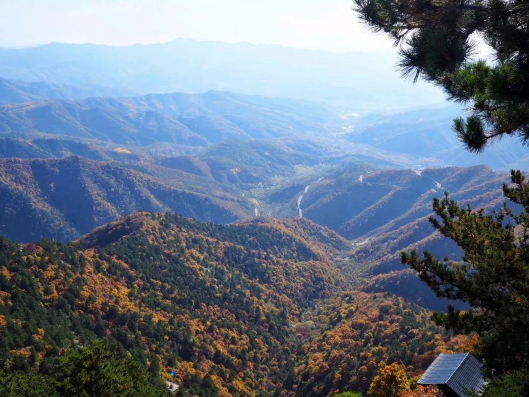 一座神人共栖的“煤都”