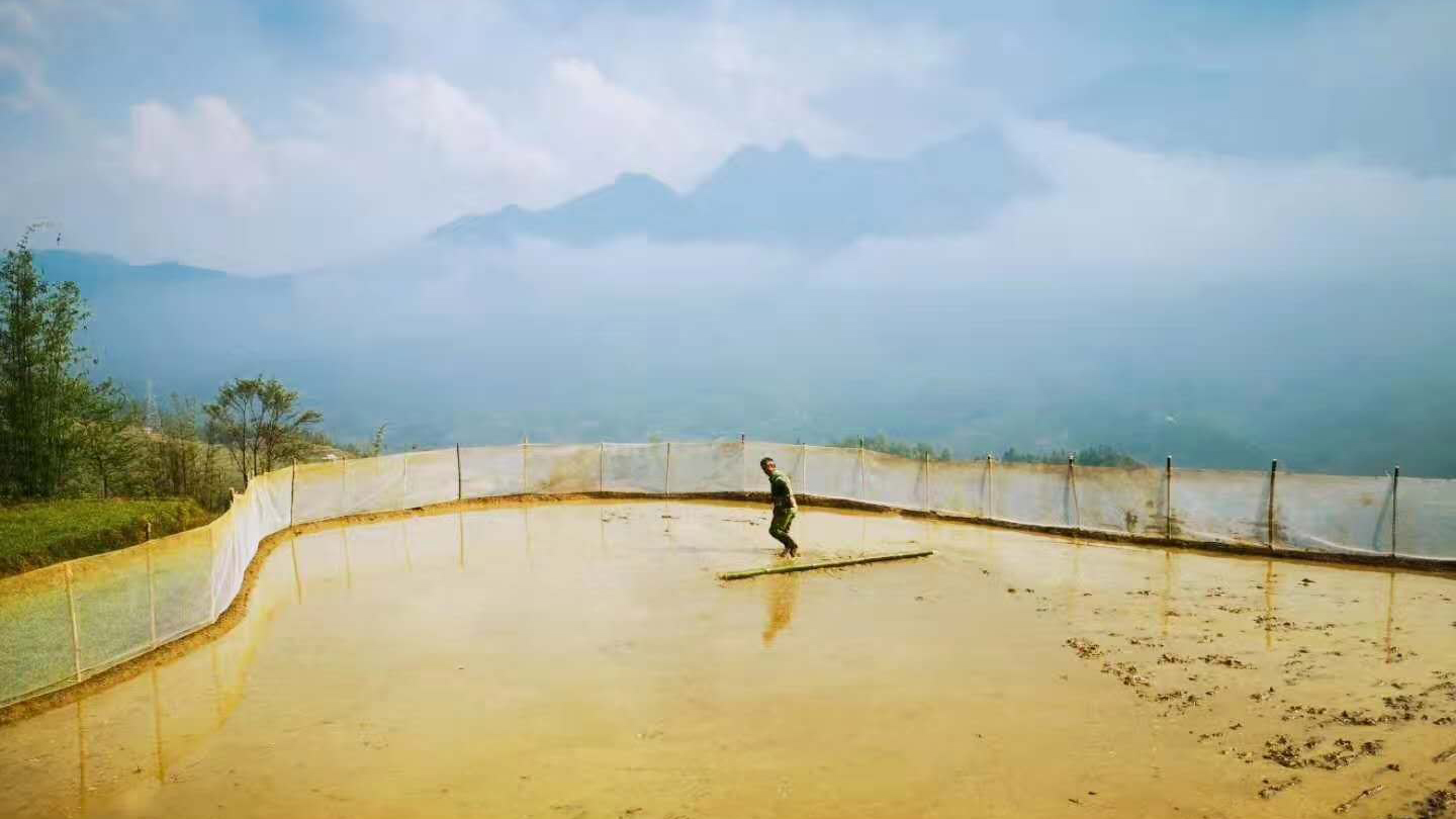 老公中毒,老公食物中毒