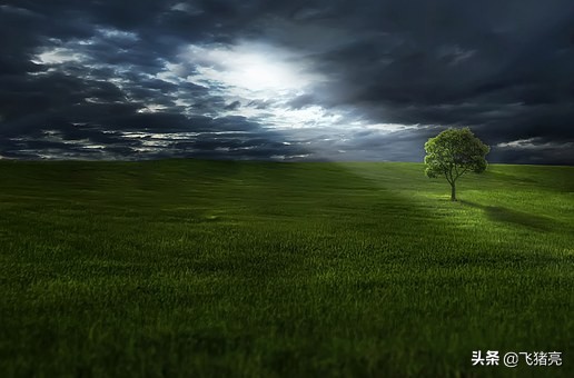 直通车运营本质有哪些,直通车拉搜索流量本质