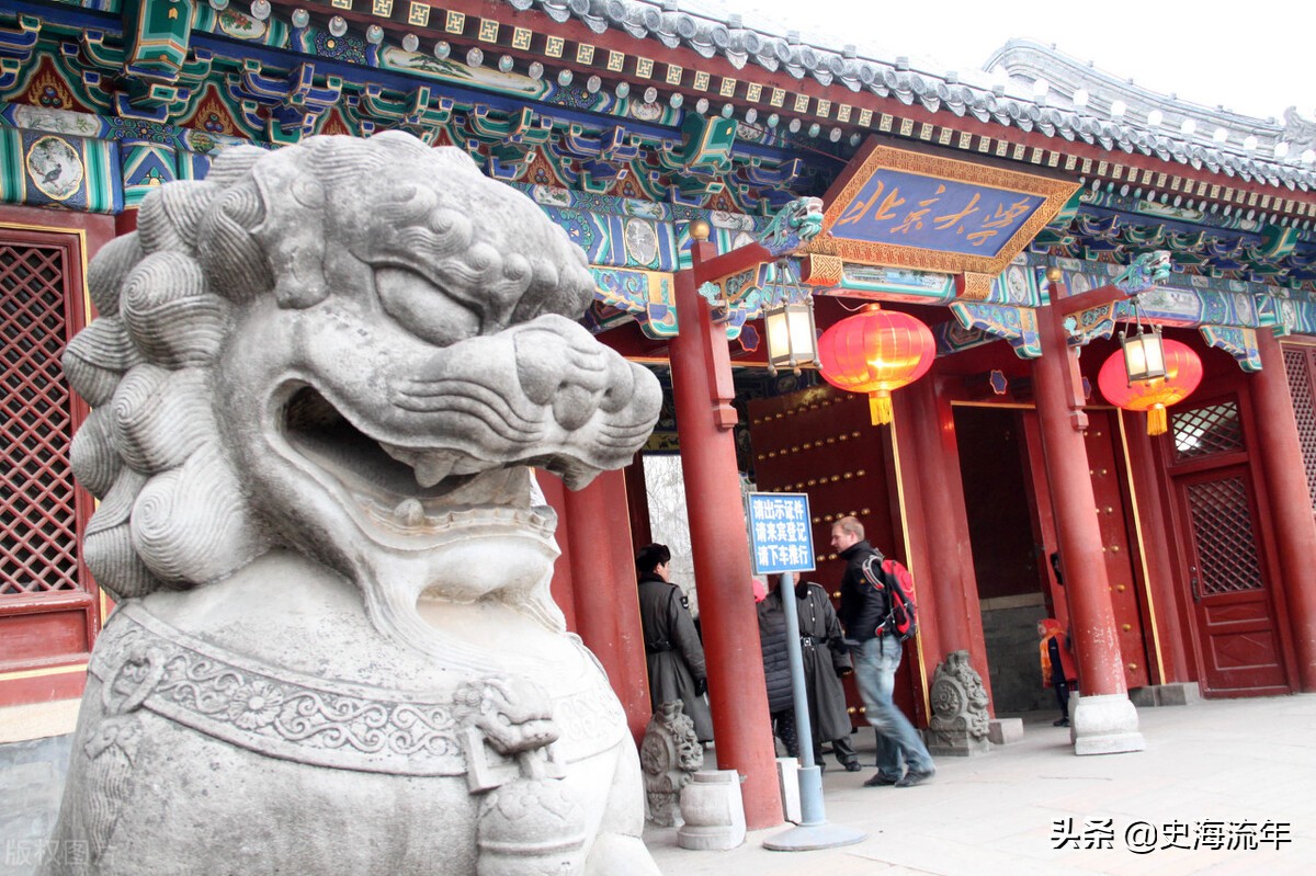 北大法学专业前景,北大人大法大哪个法学强