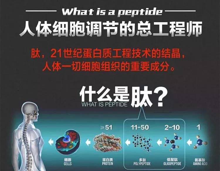肽营养学|喝肽，要从“懂肽”开始！