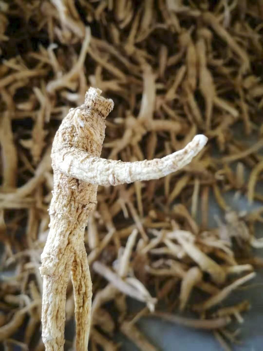 乡村振兴看沂蒙,打造乡村振兴齐鲁样板威海篇