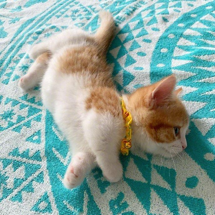 搞笑gif开心一刻快乐不分年龄,搞笑gif开心一刻动图