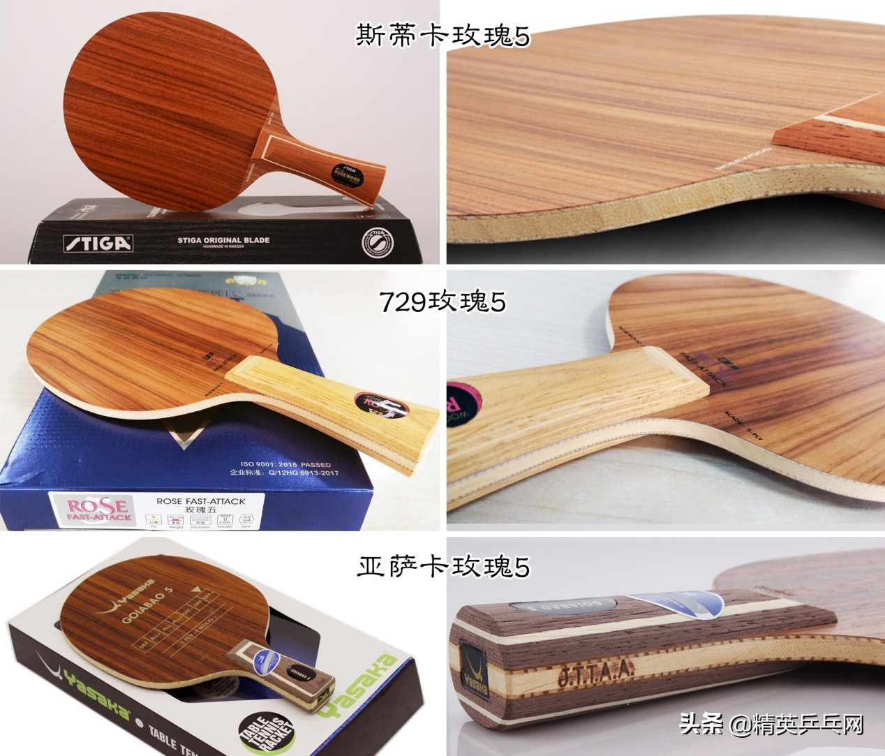 玫瑰摇曳各显风情——729玫瑰5、斯帝卡玫瑰5、亚萨卡玫瑰5