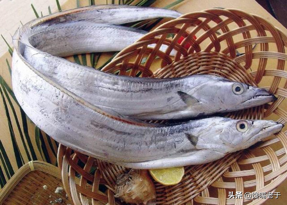 买带鱼黄眼睛和黑眼睛哪种最好,买带鱼黑眼珠好还是黄眼珠好