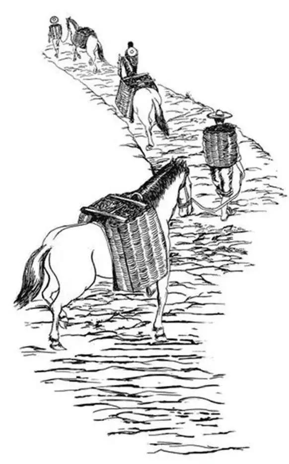 茶马古道上的千年茶香,茶马古道茶文化