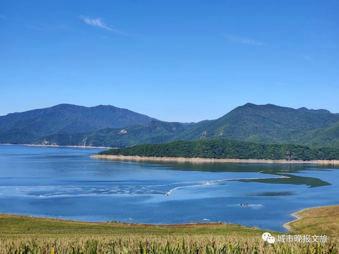 城晚拍拍丨落日余晖