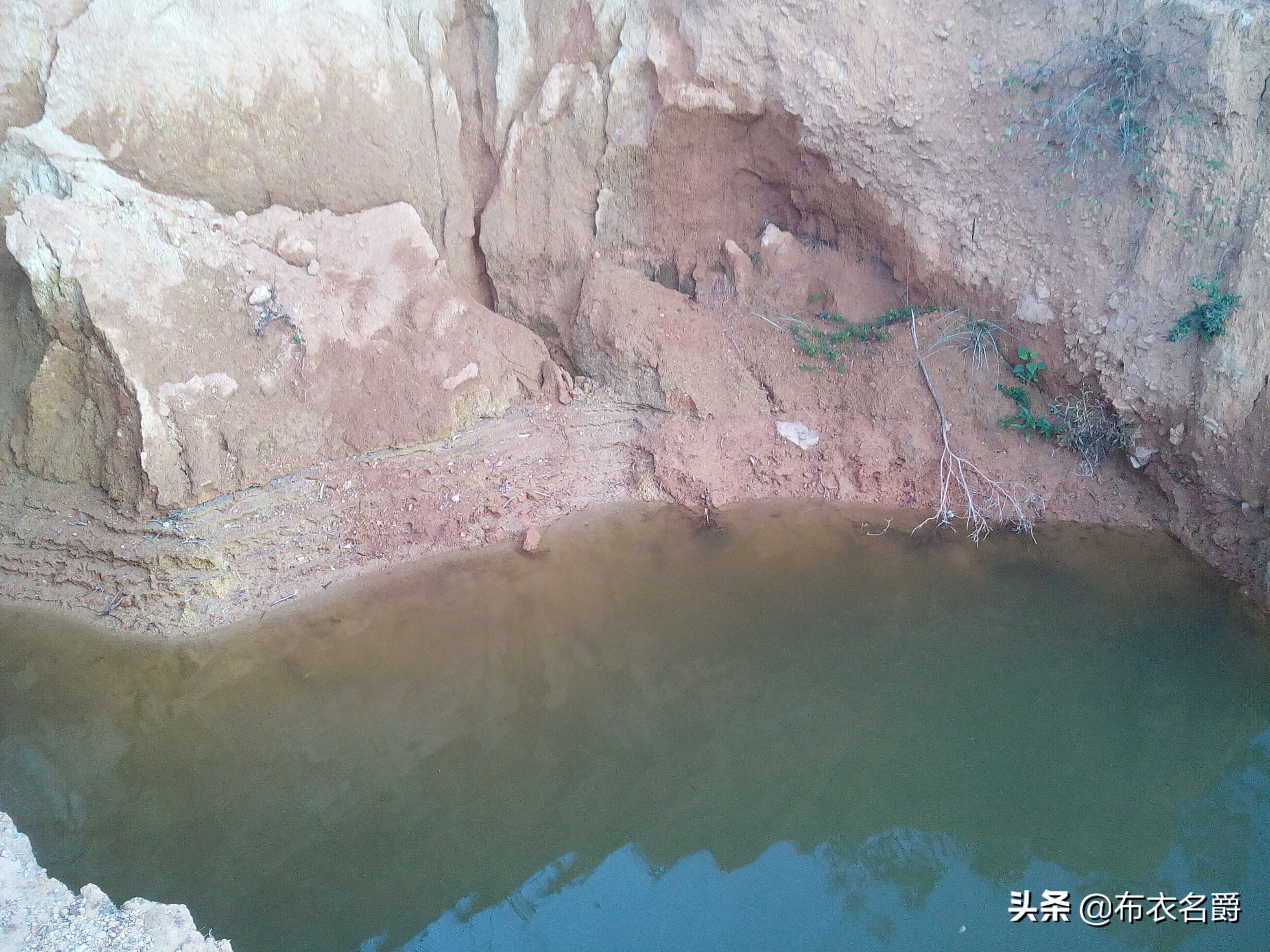 猪败血性链球菌的治疗处方,猪附红细胞体病最佳治疗