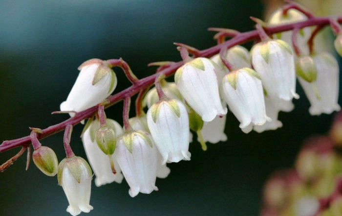 心灵鸡汤经典语录短句正能量,经典走心的心灵鸡汤语录句句精辟