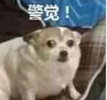 刚开学，想做兼职的大学生们注意了！有人钱没赚多少，却成了诈骗犯！