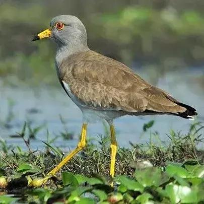跟着徐霞客游记去旅行,徐霞客的朋友圈