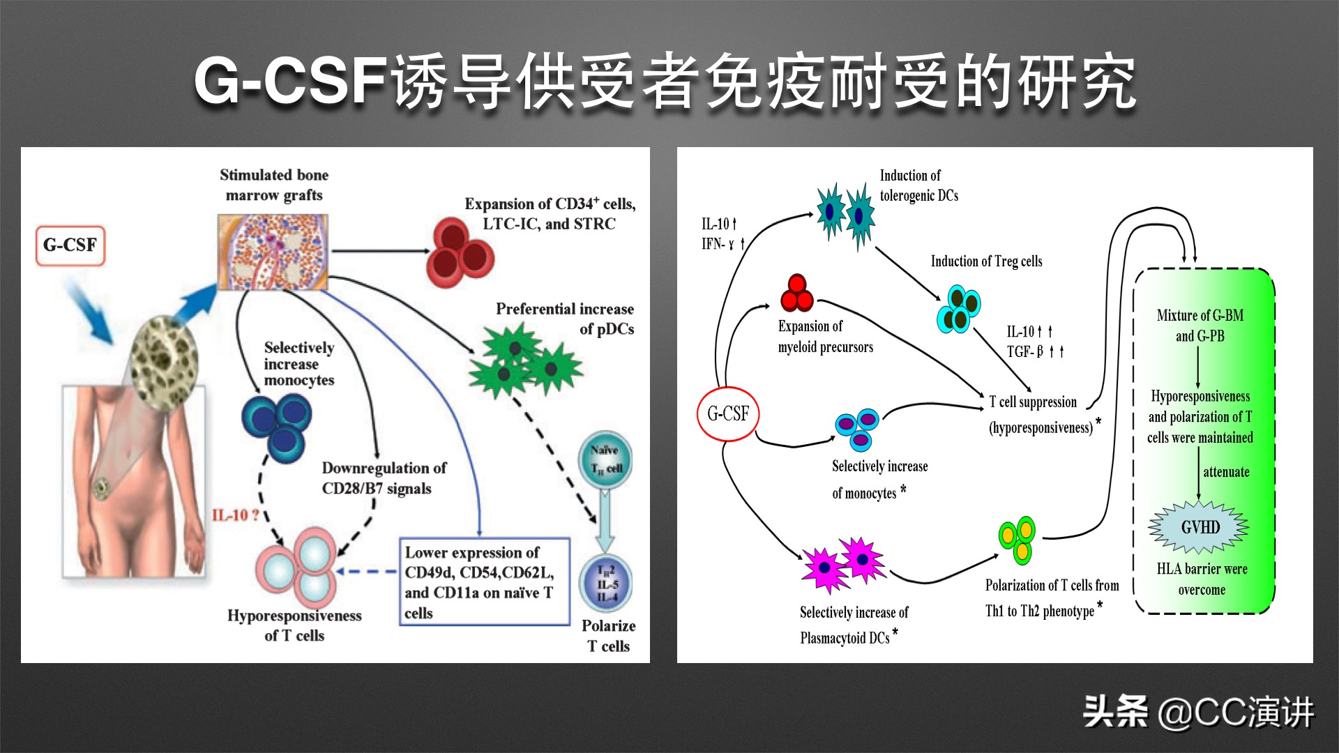 白血病不是不治之症单倍体移植如何破解白血病难题?