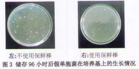 杀菌除味保鲜棒,德国冰箱保鲜除味棒