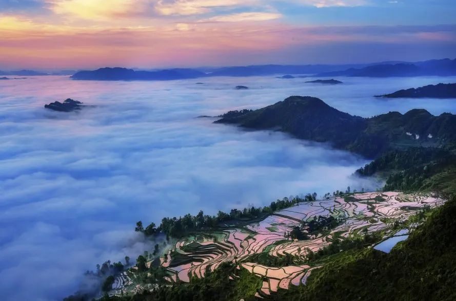 仙人街景区赏花攻略,吉尼斯打卡仙人街