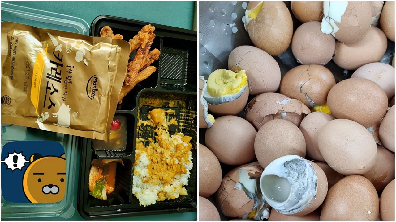 韩国队世界杯伙食,韩国队抱怨伙食动画