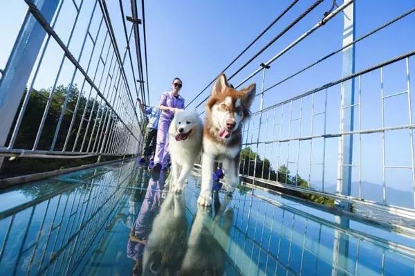 岳阳石牛寨风景区游玩攻略一日游,岳阳石牛寨风景区门票多少钱