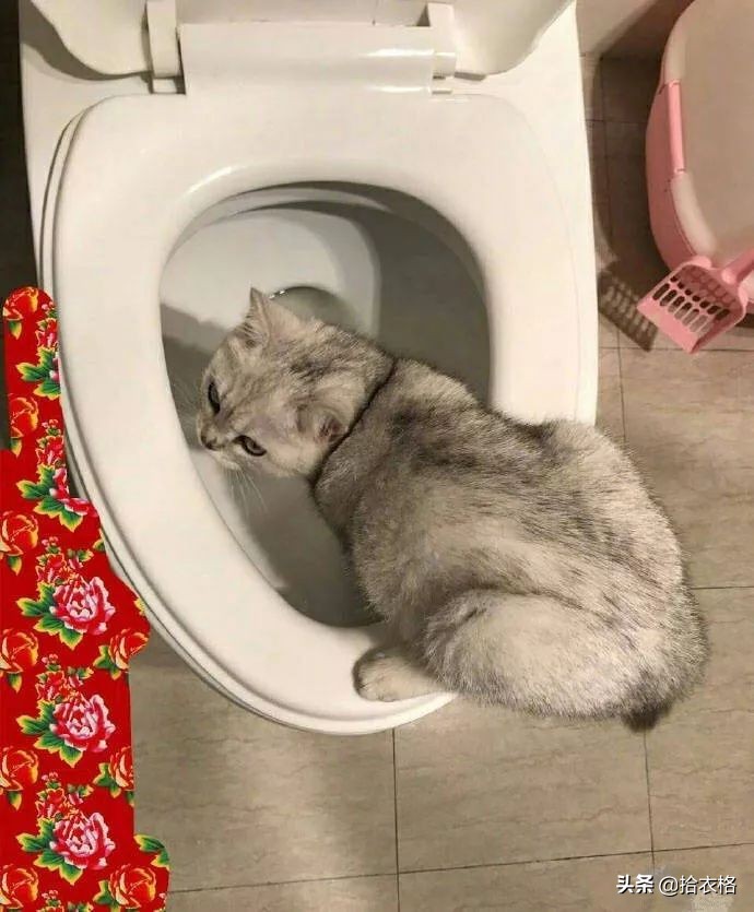 女生一定要穿安全裤吗,女生关于安全裤的重要性